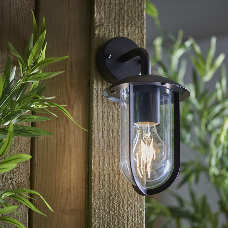 Crissyfield 24cm H Outdoor Wall Lantern