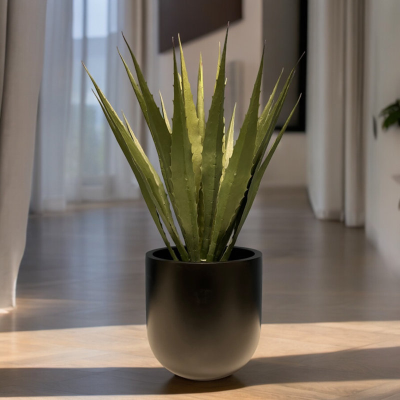 Fiberglass Round Planter 19.5'' H X 19.5'' W X 19.5'' D, Black, 19.5" H x 19.5" W x 19.5" D