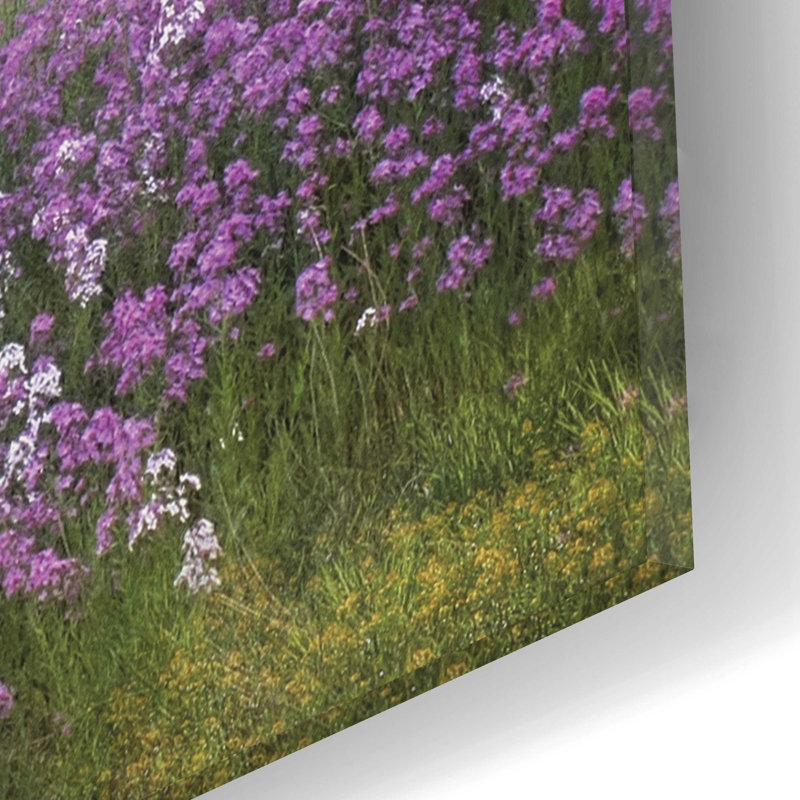 «Fragrant Field» par Lori Deiter - impression sans cadre, H 12 po x l 16 po x P 0,13 po