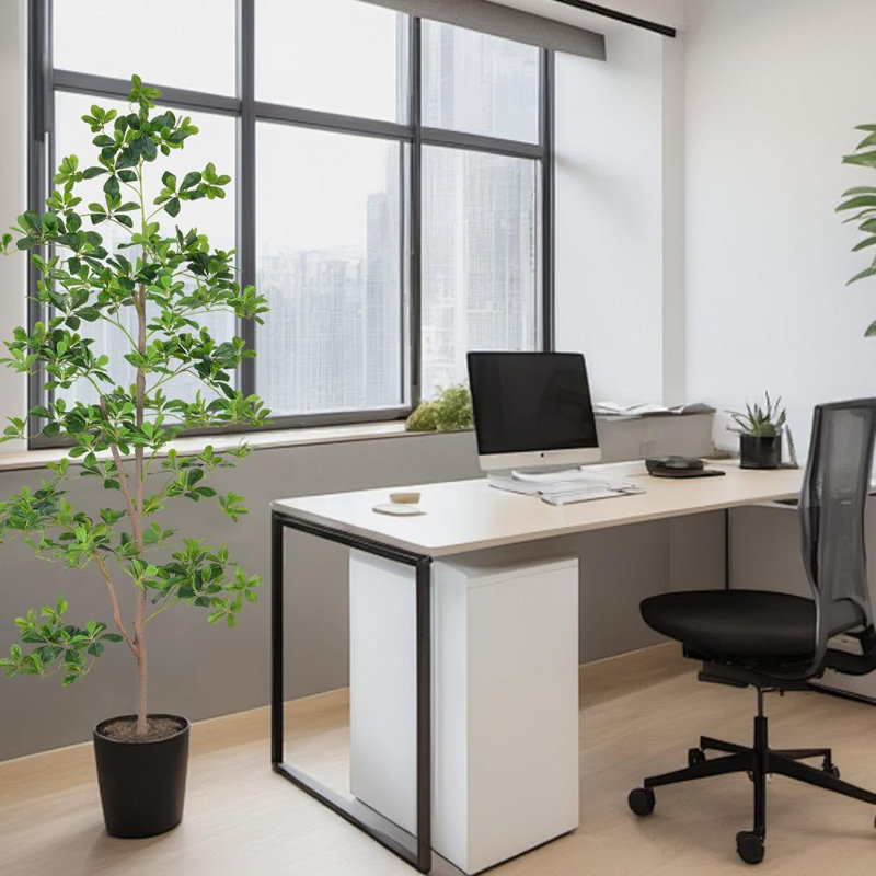 2pcs 71inch Black Olive Tree