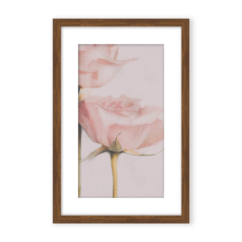 Nature Inspired Two Roses by  - Picture Frame Photograph on Paper, 36" H x 24" W x 1.125" D, Black, Framed Print