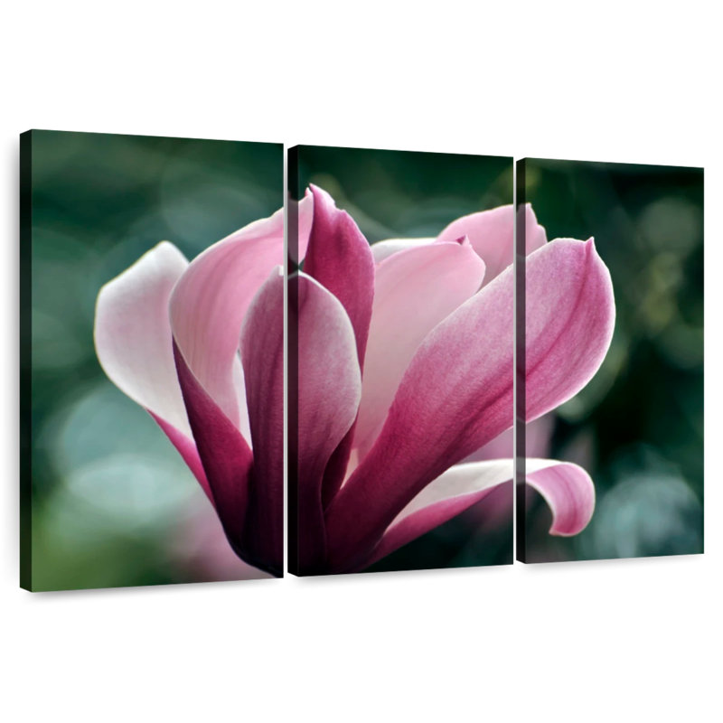 Fleur de magnolia Harnek en fleurs, H 28 po x l 45 po