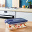 Glass Food Storage Container