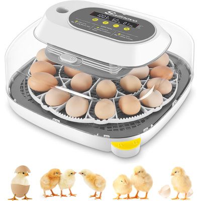 24 Chicken Egg Incubators with 4 Modes, 360° View Incubator with Automatic Egg Turning and Temperature Control Humidity Display, Digital Incubator for Chicken Quail Duck