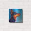 "Aussie - Kona" par Dawg Painter-1756300190