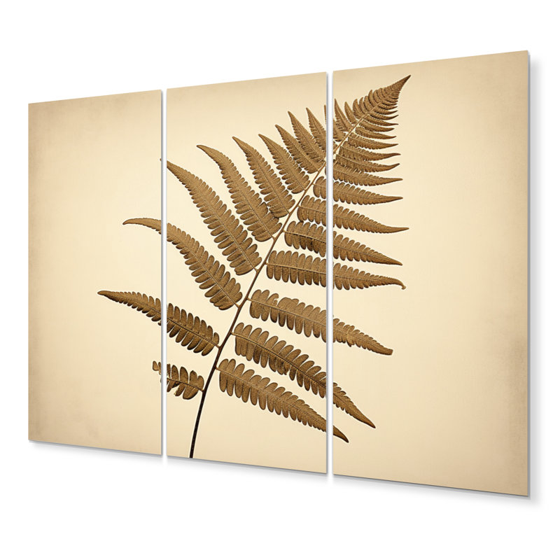 Fougère beige, plante Timeless Elegance I - ensemble de reproduction d'art floral en métal