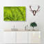 Leaf Veins - Wrapped Canvas-56629193