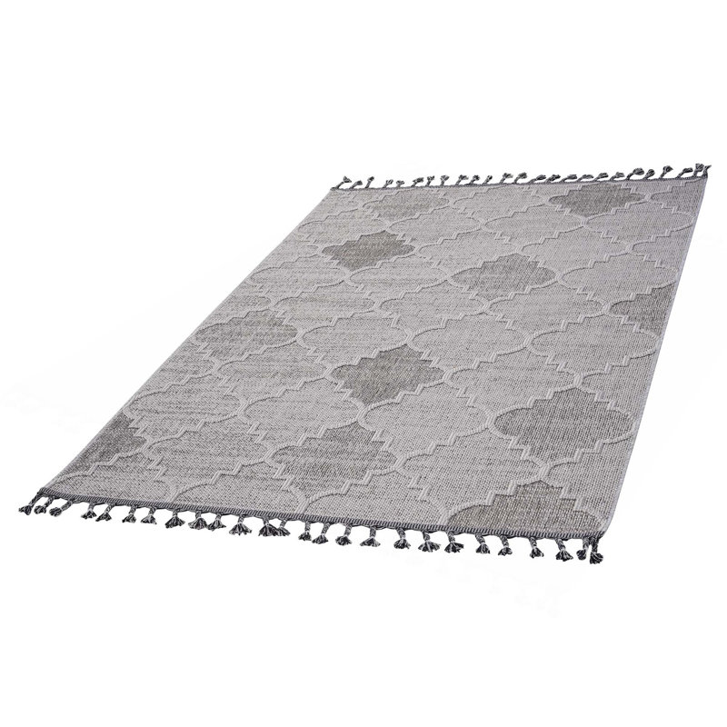 Collection Trellis Indoor/Outdoor Area Rug, Rectangle 5'3" x 7'6"