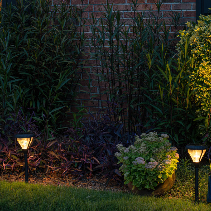 Premier Pathway Lights 50 Lumens Solar Powered Dual LED Pathway Light 2-Pack