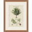 Martha Stewart Skylands, art mural en bois, étude d'arbres II, 19,75 po x 25,75 po, salon et chambre à coucher, encadré