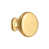 PVD Polished Brass selected