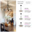  3-Light Medium 14" Dome Kitchen Island Pendant Light-782031496