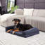 Canapé pour chien Cristalina-584162145-608144440