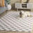 Leeni Performance Checkered Rug-1829349711