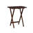 Berne 5 Piece Wood Folding Tray Table Set with Stand
