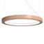 Luminaire suspendu à cadre DEL-68924983-69150234