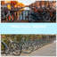 Aliliana Steel Bike Rack