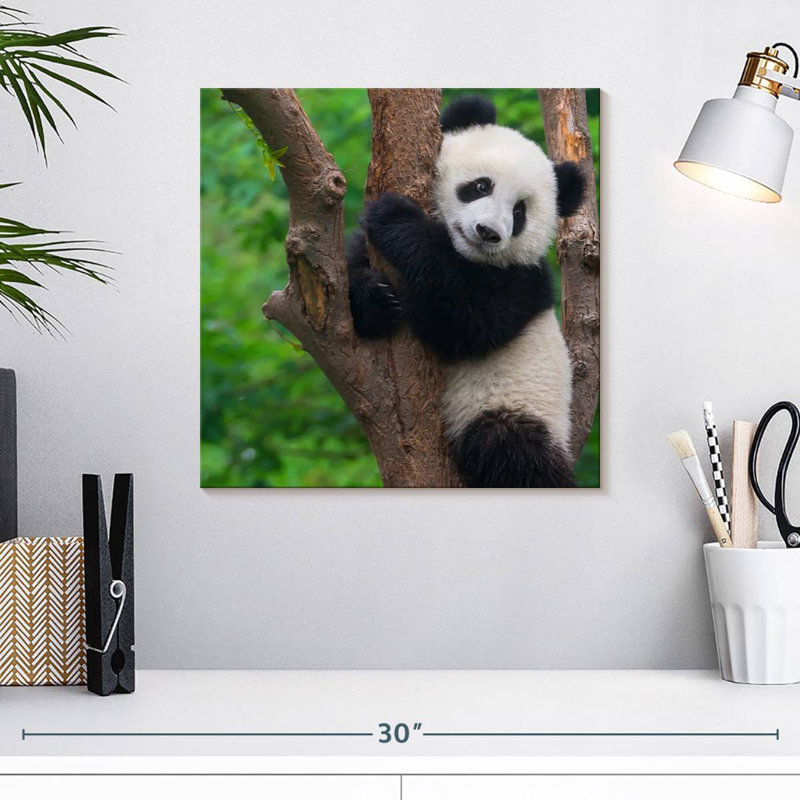 Brampt Adorable Panda, 16" H x 16" W