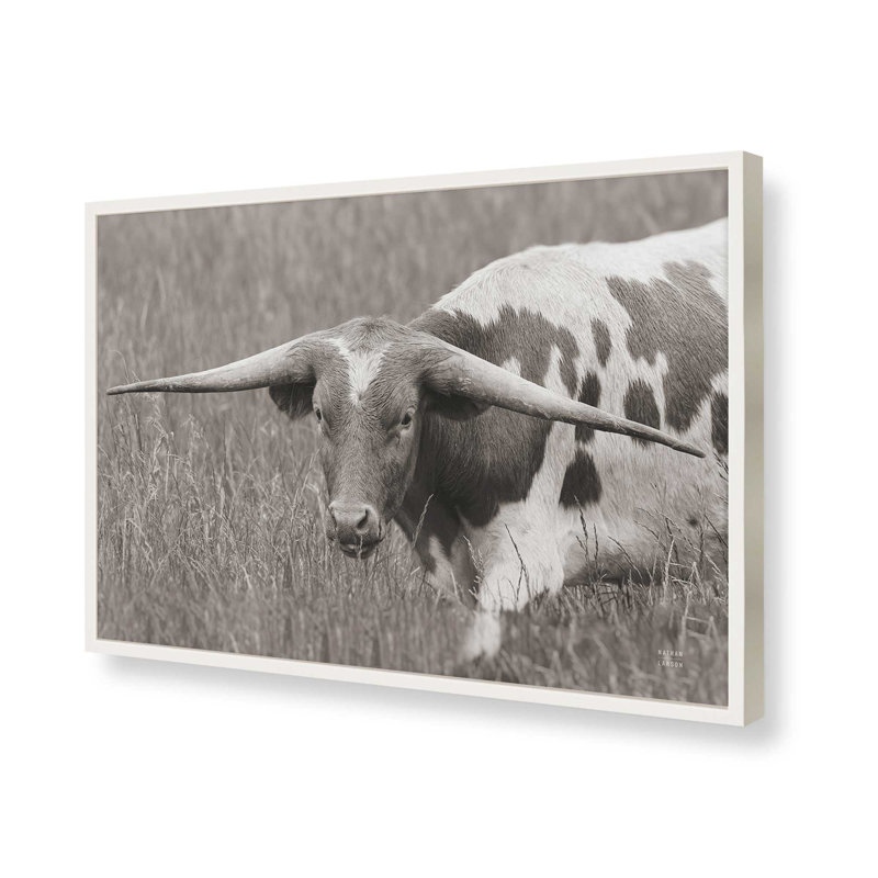 «Rainy Pasture I BW» par Nathan Larson, reproduction d'art, 18 W x 12 H, White, Framed Print