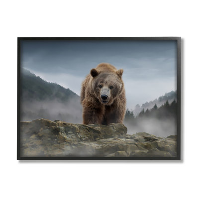 Roaring Brown Grizzly Bear Rocky Mountain Top View - Floater Frame Photograph on Canvas -  Stupell Industries, ao-172_fr_11x14