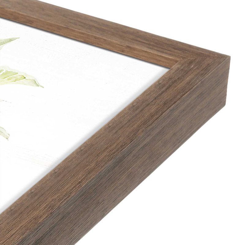 «Bounty of Nature» par Cindy Jacobs, reproduction d'art, Brun, Impression encadrée, L 16 po x H 12 po