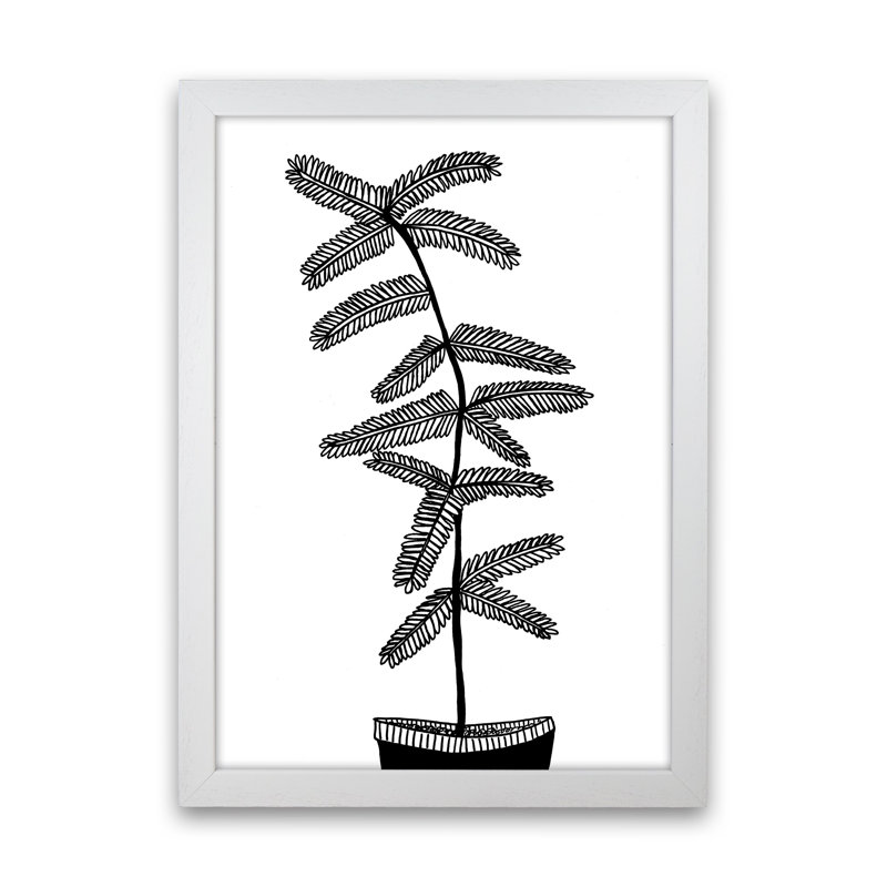 Mimosa by Carissa Tanton - Print, 46cm H x 34cm W x 3cm D, White Framed
