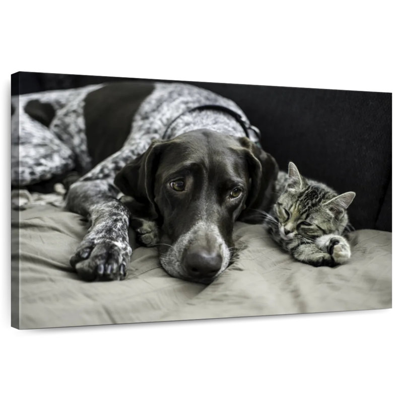 Amis chiens et chats, H 16 po x l 24 po