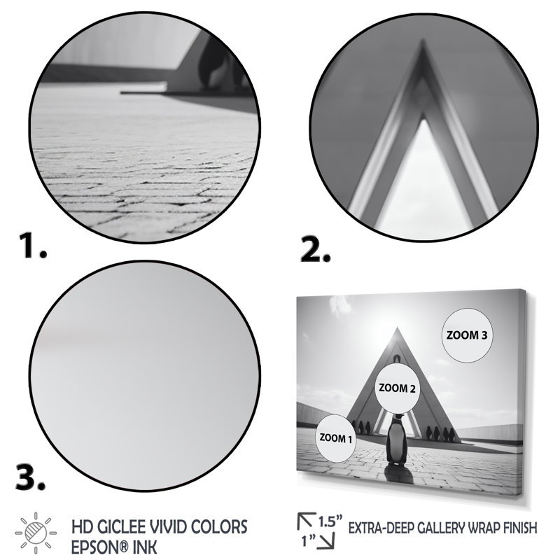 Photo de pingouin noir et blanc - art mural pingouin, Cadre flottant blanc, H 16 po x l 32 po x P 1 po