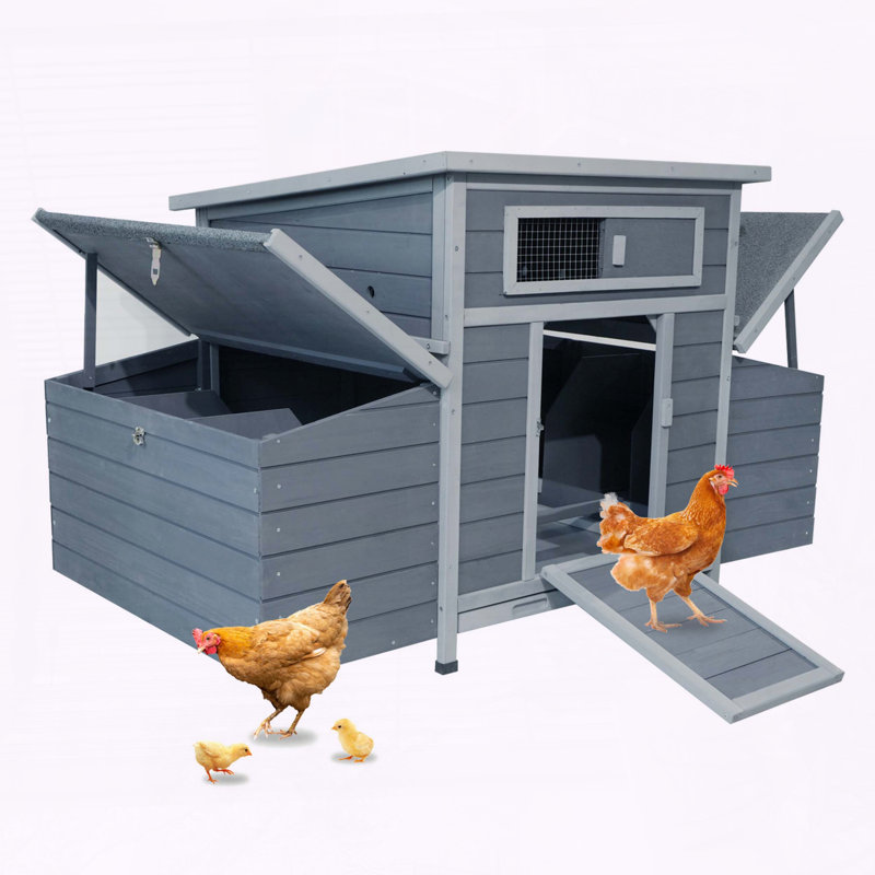 Grand poulailler en bois avec 2 boîtes gigognes