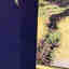 Photos des clients 6 de 7