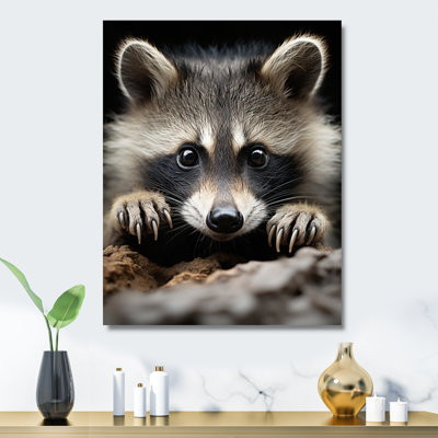 " Animal Raccoon "