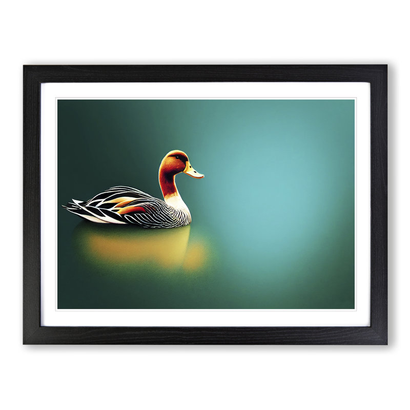 Brilliant Duck - Single Picture Frame Print, Black Framed, 46cm H x 64cm W x 2cm D