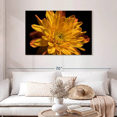 Harnek fleur de chrysanthème