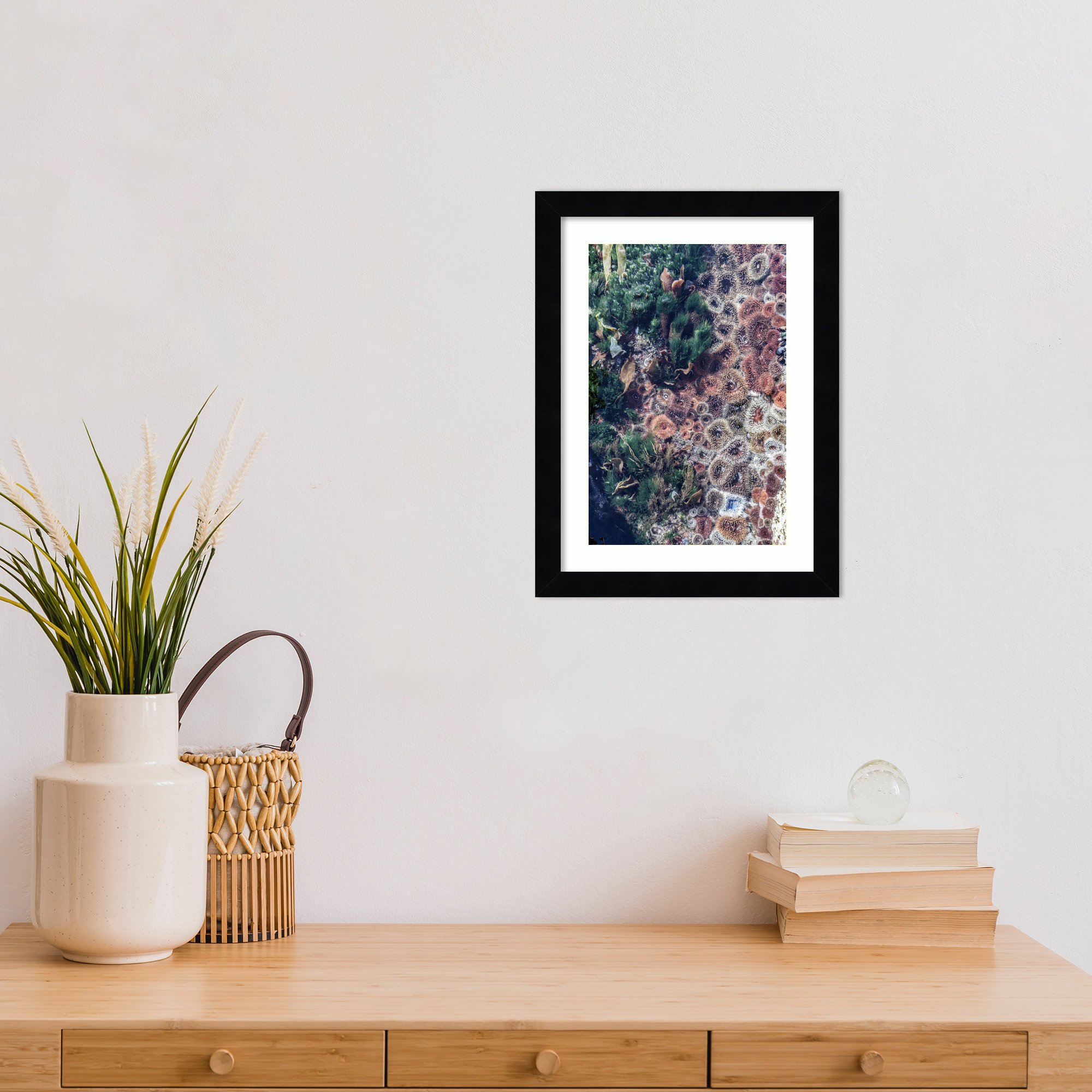 Ocean Curiosities by Shot by Clint Wood Framed Wall Art Print, 13" H x 10" W, Black
