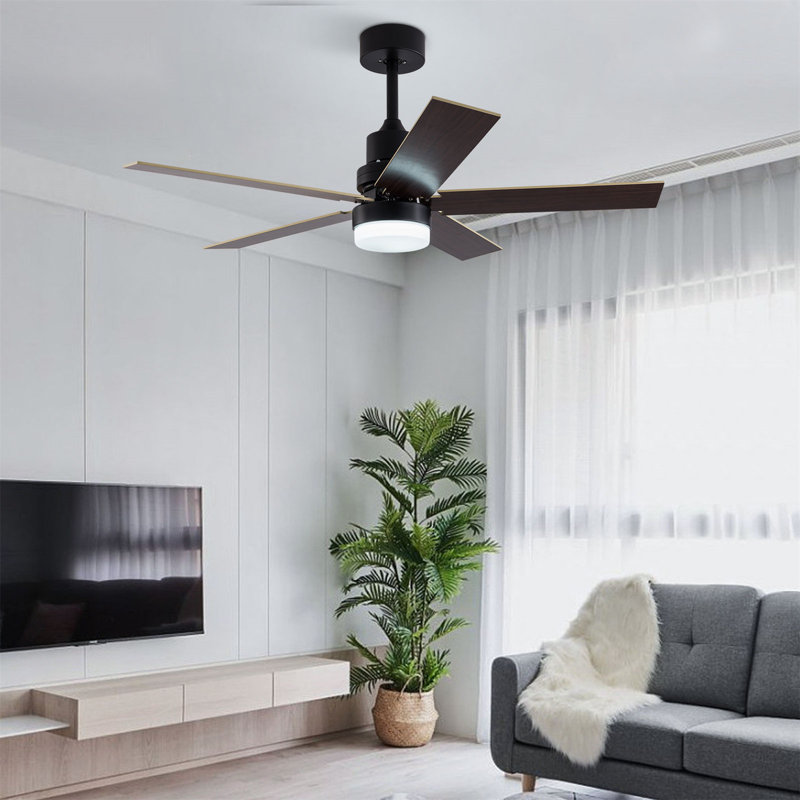48'' Ceiling Fan with LED Lights