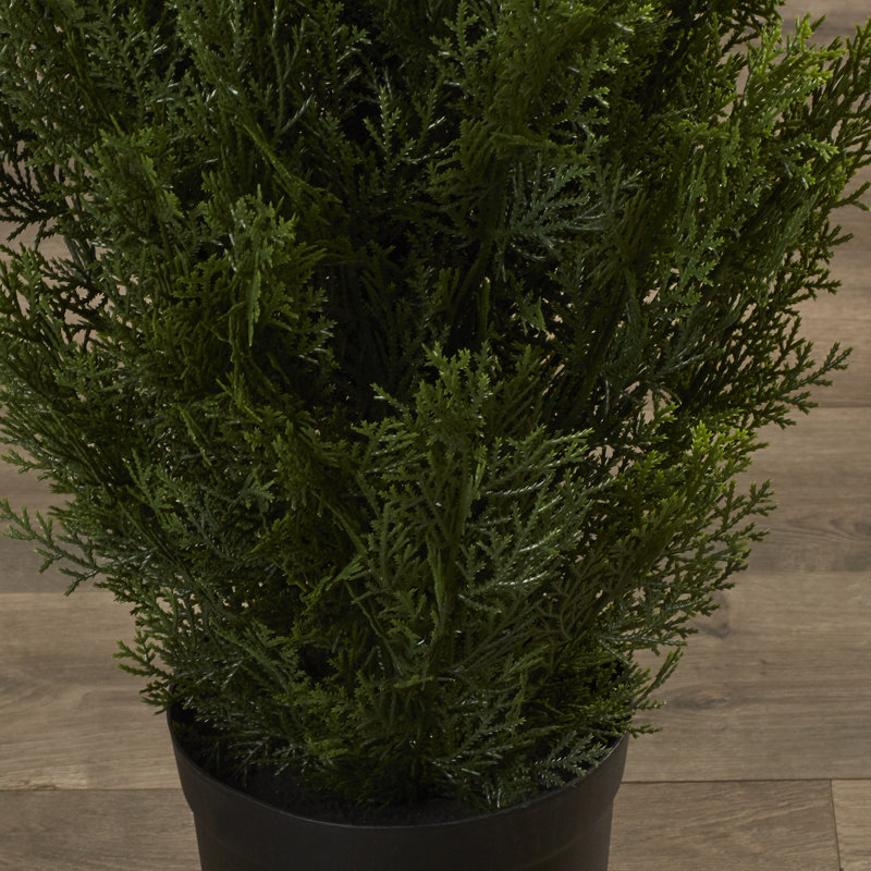 48 " H Faux Cedar Topiary in Plastic Pot Liner