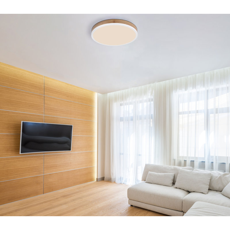 Plastic LED Flush Mount