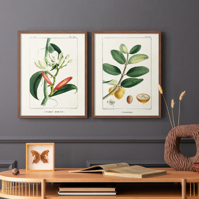 Reproduction encadrée Turpin Tropical Botanicals IX-Premium - prête à être accrochée, Noyer, H 15 po x l 24 po