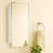 Garnes Recessed or Surface Mount Framed Medicine Cabinet with Adjustable Shelves-2144256341-2129537056