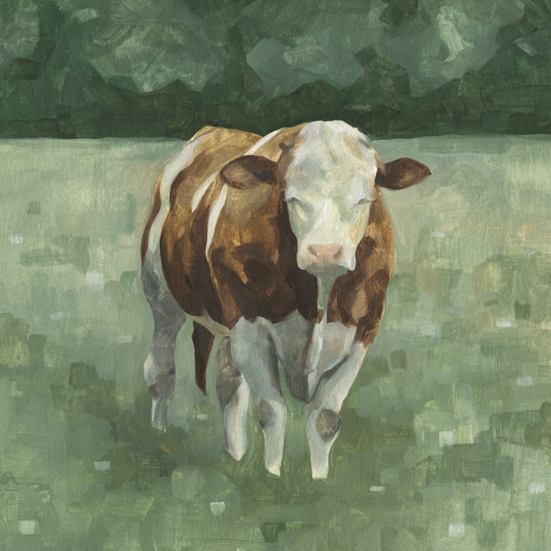 Bovin Hereford II, H 12 po x l 12 po