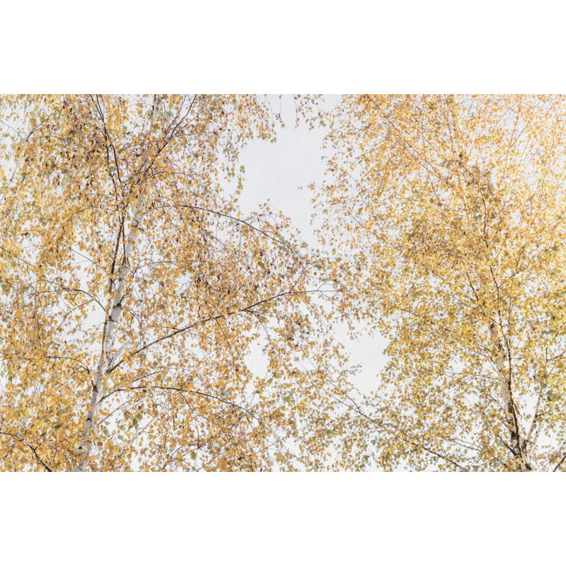 Wrapped Canvas Print, 50.8 cm H x 76.2 cm W