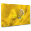 Yellow Butterfly in Abstract - Wrapped Canvas-55302598