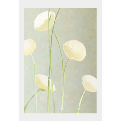 " Cream Flowers On Mist "
