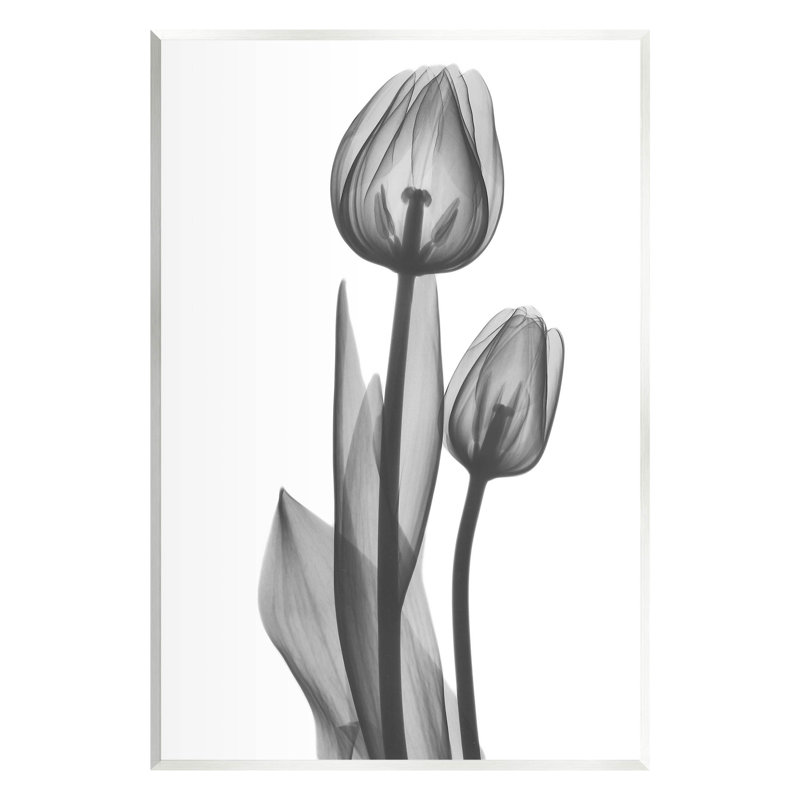 Art contemporain contemporain sur tulipe transparente par Albert Koetsier, H 15 po x l 10 po x P 0,5 po