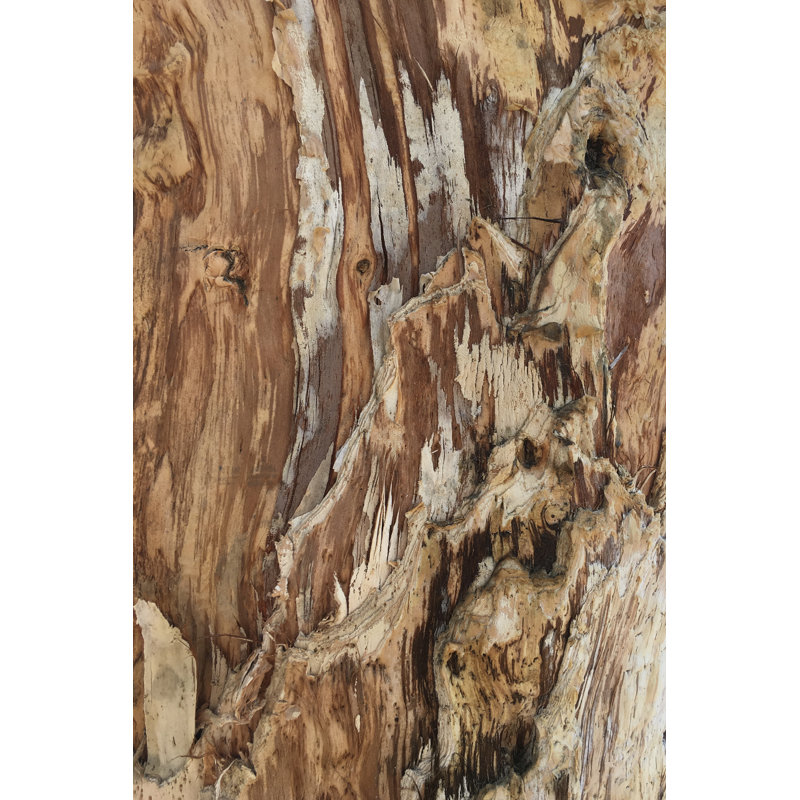 " Tree Texture Triptych I " by Norm Stelfox, 12" H x 8" W x 1.25" D
