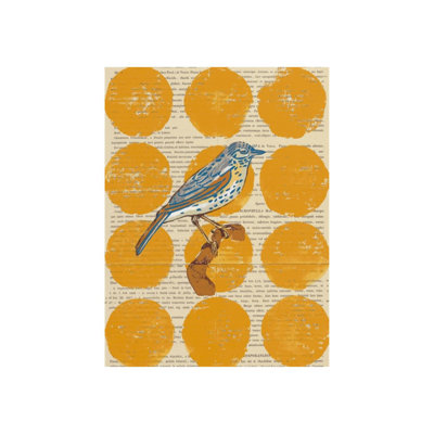 Bird Study I Print by Meredith Macleod