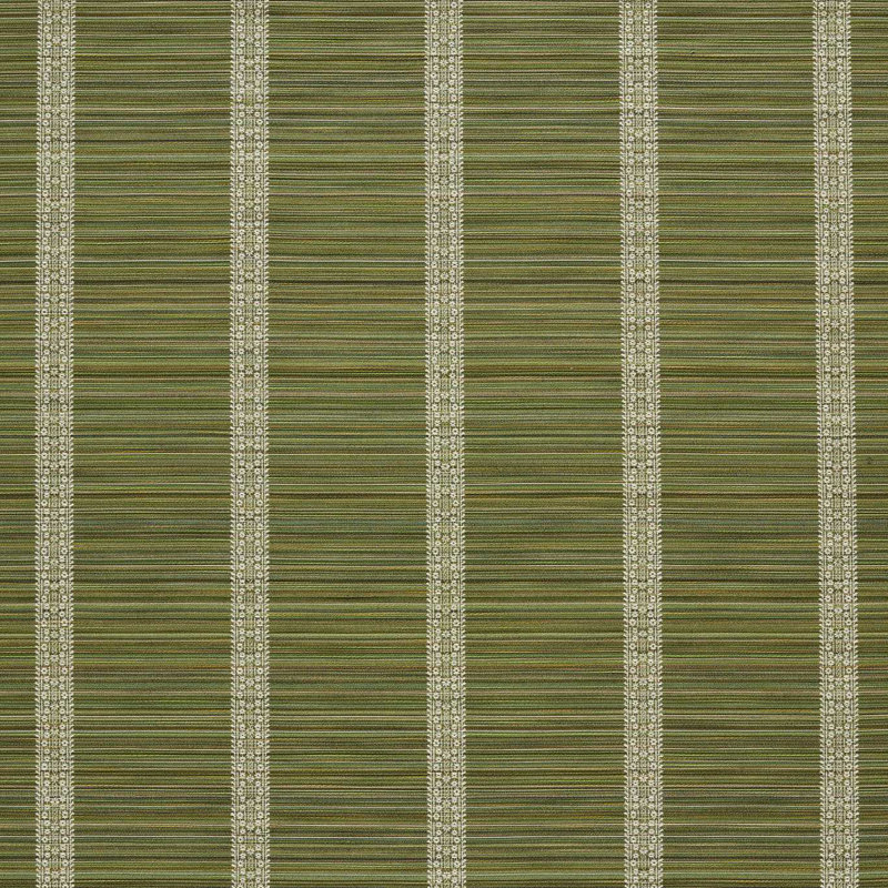 Bellagio Stripe, Evergreen
