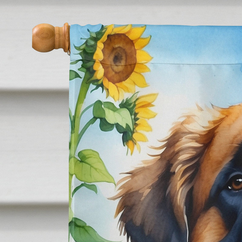 Drapeau de la maison du tournesol Malamute d'Alaska, Leonberg