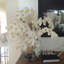 Phaleanopsis and California Sandblasted Ghostwood Orchids Centerpiece in Vase