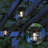 Solar Powered Pathway Light